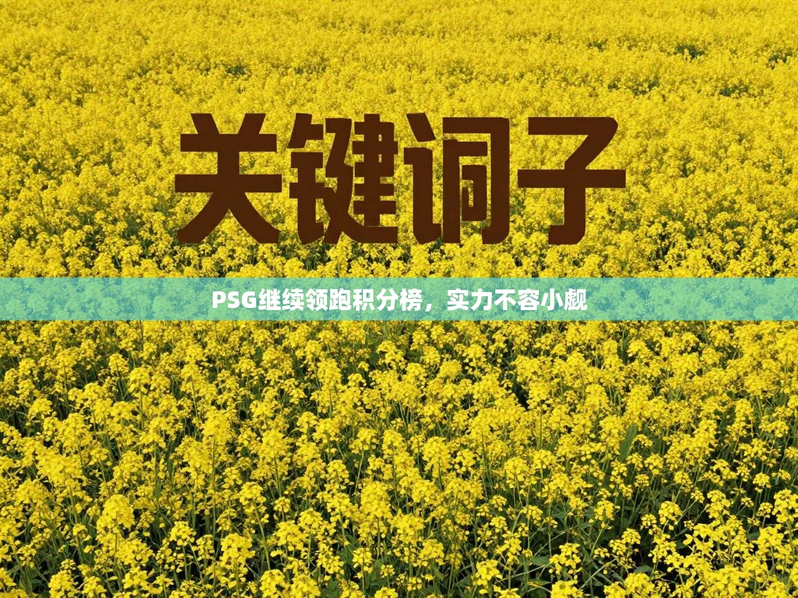 PSG继续领跑积分榜，实力不容小觑  第2张