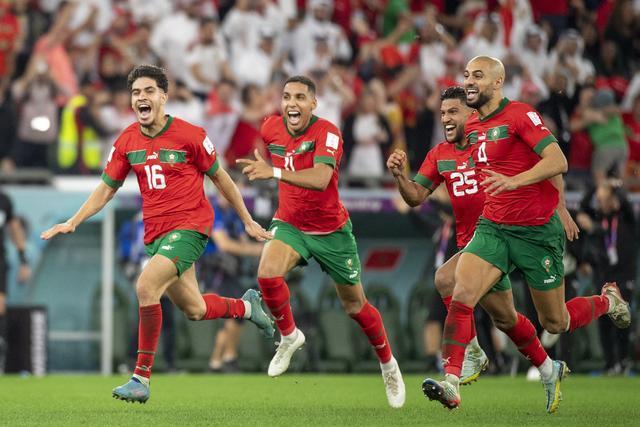 非洲杯新手崭露头角，实力获得认可