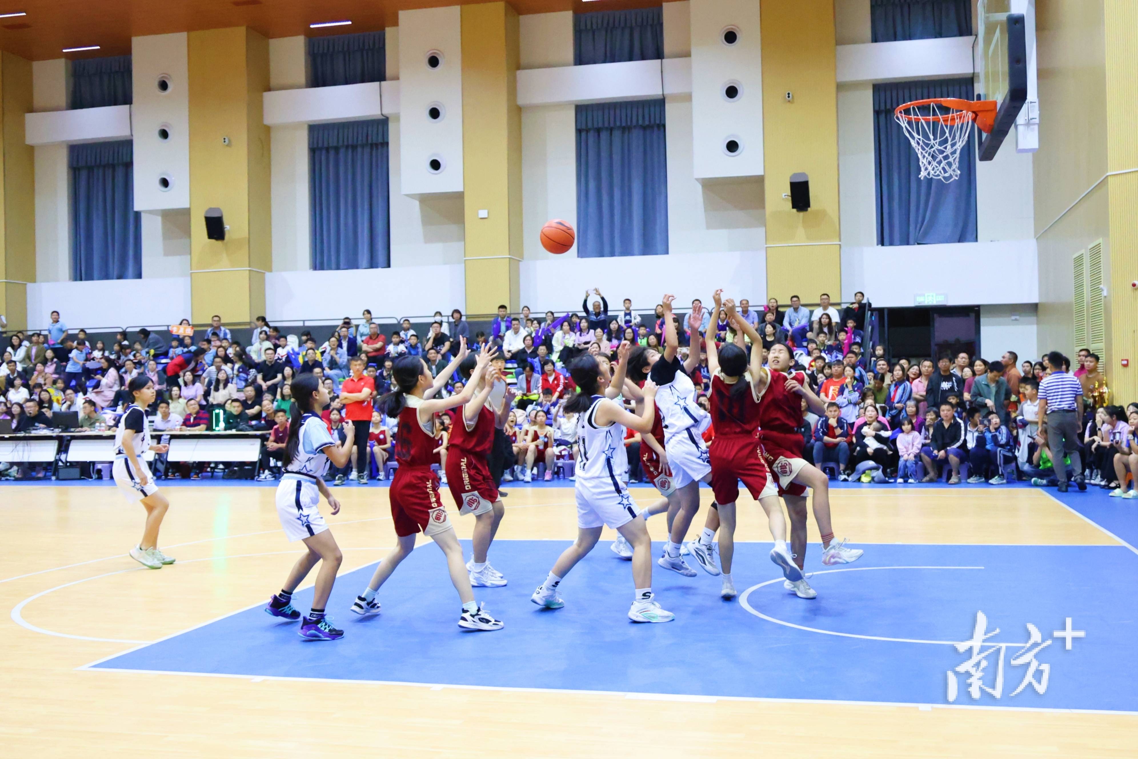 青海男篮奋力拼搏，迎接新一轮比赛的简单介绍